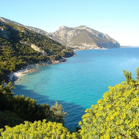 Appartamento Casa Degli Oleandri Sul Cortile Cala Gonone Esterno foto