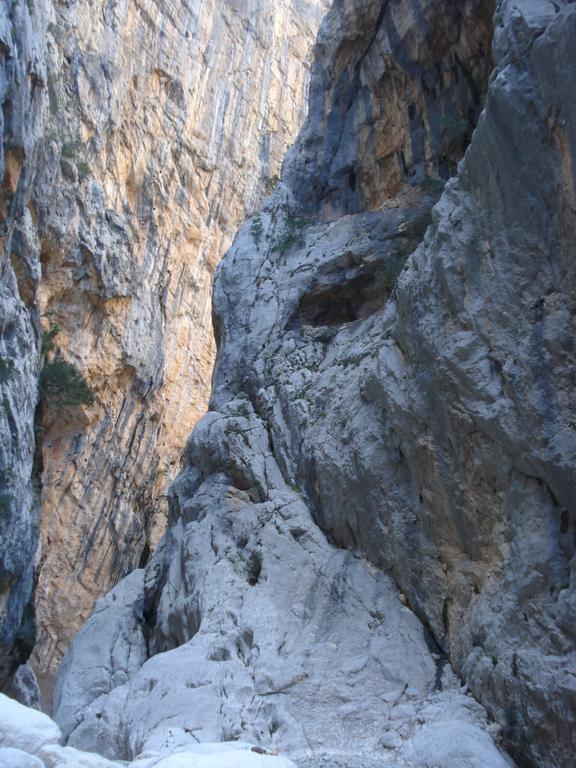 Appartamento Casa Degli Oleandri Sul Cortile Cala Gonone Esterno foto