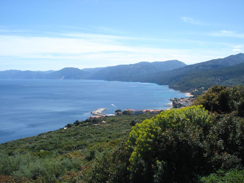 Appartamento Casa Degli Oleandri Sul Cortile Cala Gonone Esterno foto