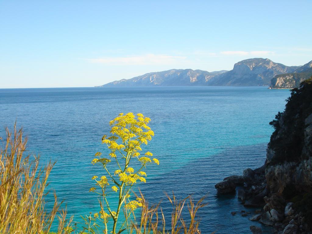 Appartamento Casa Degli Oleandri Sul Cortile Cala Gonone Esterno foto